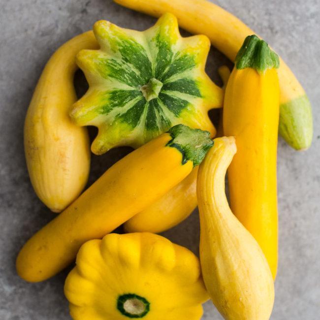 Summer Squash | Explore an Ingredient