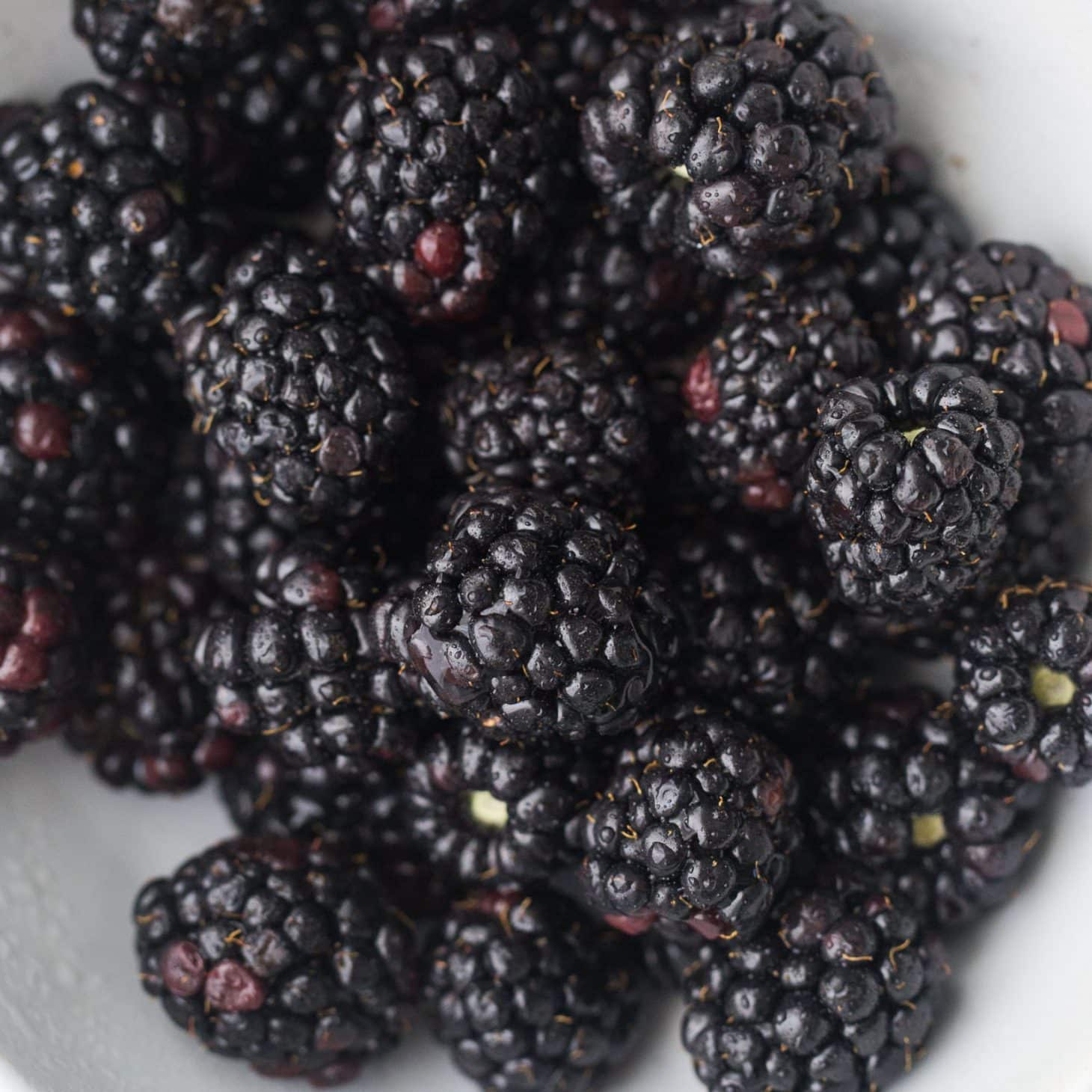 Blackberries | Explore an Ingredient