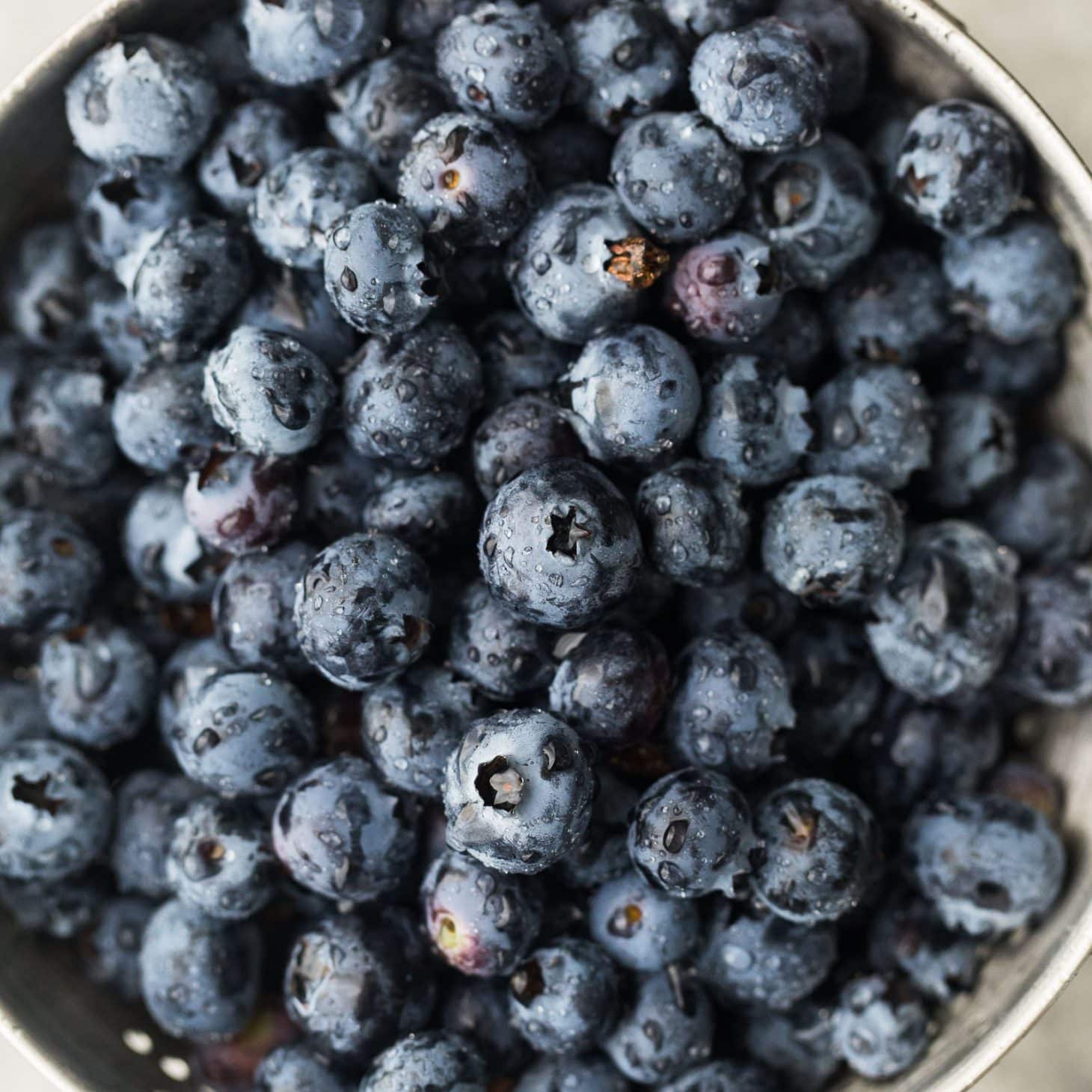 Blueberries | Explore an Ingredient