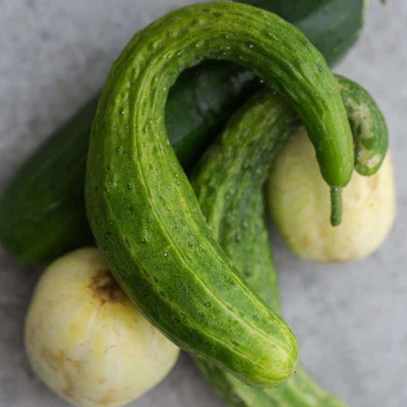 cucumber