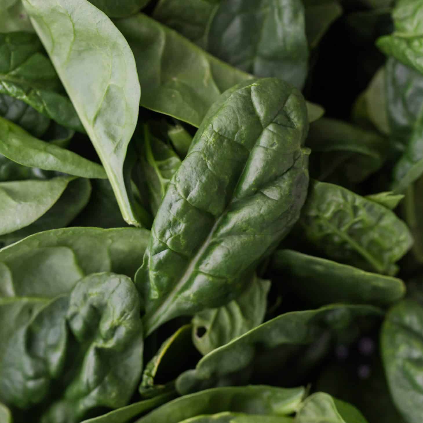 Spinach - Explore an Ingredient - Naturally Ella