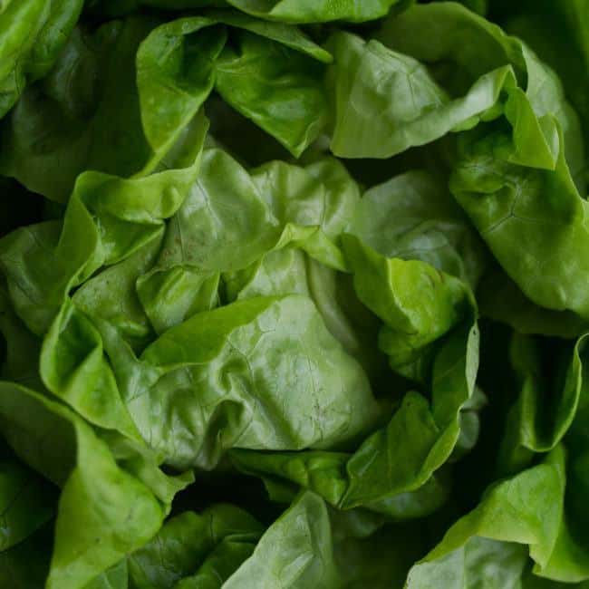 Lettuce - Explore an Ingredient - Naturally Ella