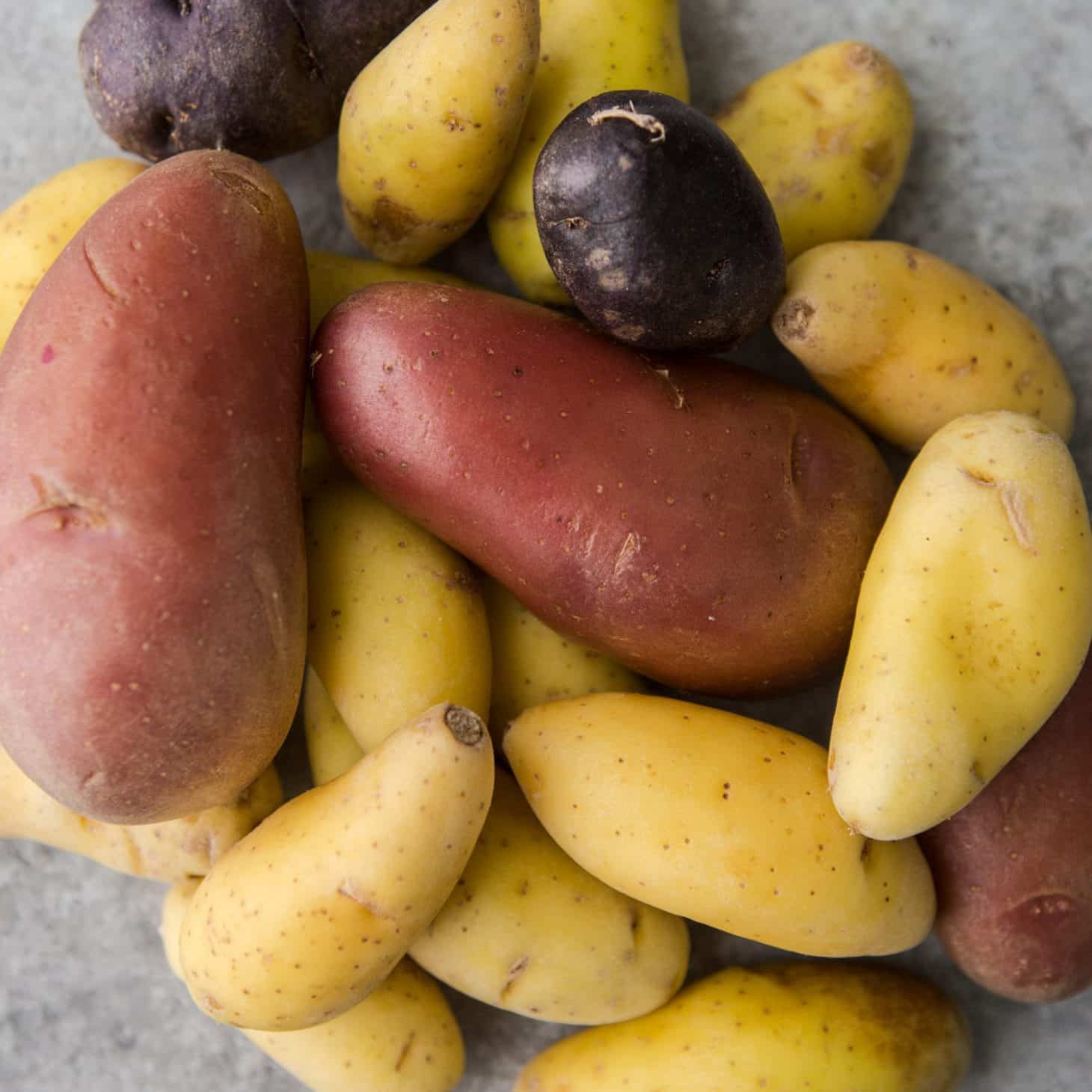 Potatoes - Explore an Ingredient - Naturally Ella