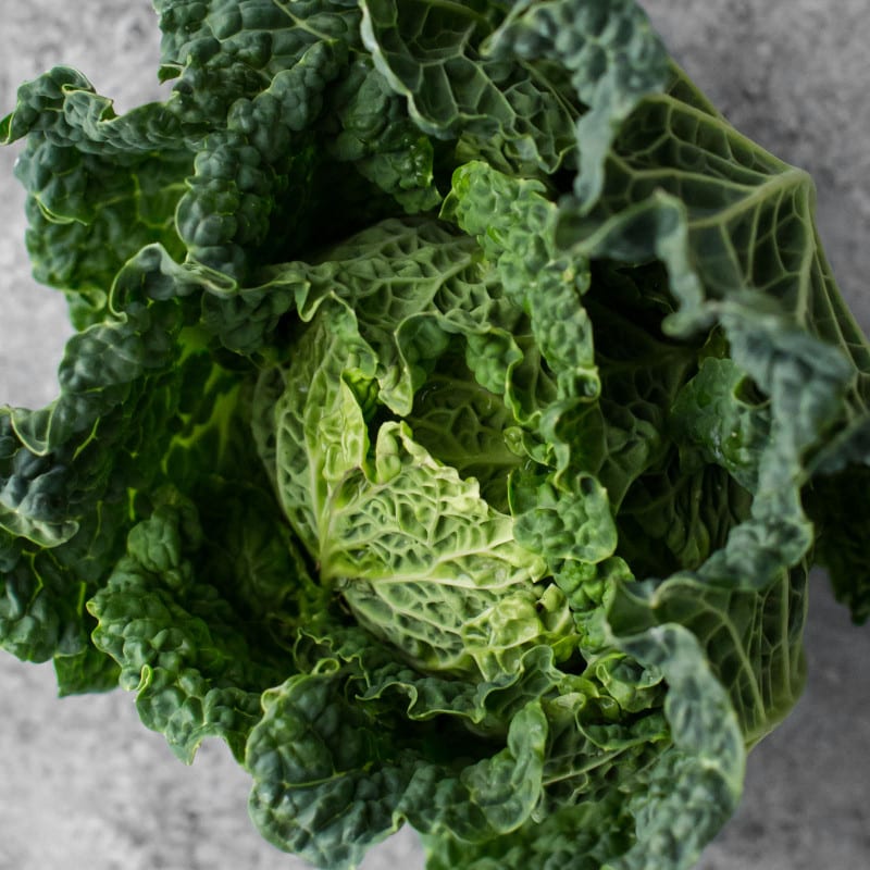 Cabbage- Explore an Ingredient