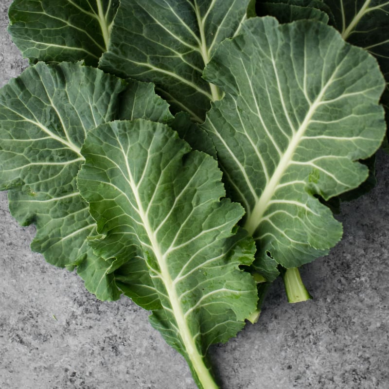 Collards- Explore an Ingredient