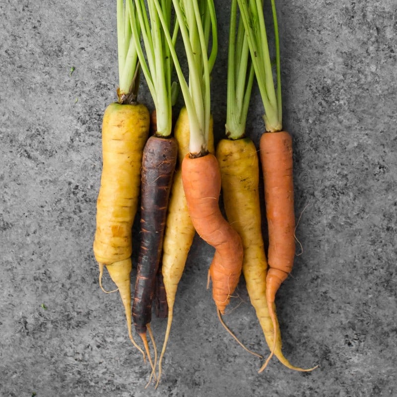 Carrots- Explore an Ingredient