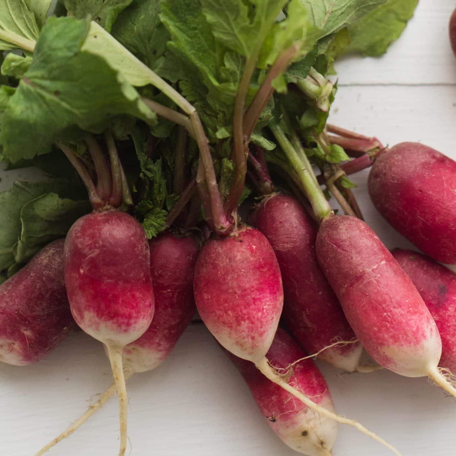 Buttered Radishes with a Poached Egg on Toast: Spring Recipe