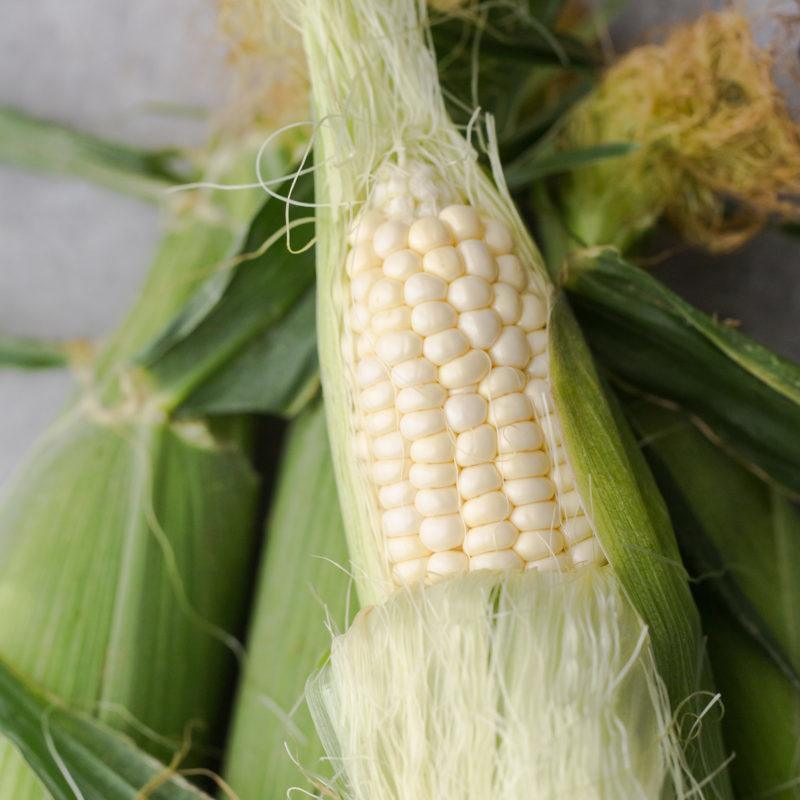 Sweet Corn | Explore an Ingredient
