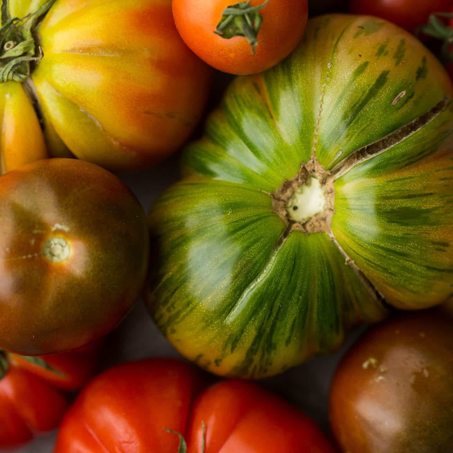 Tomatoes | Explore an Ingredient