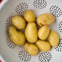 Potatoes | http://naturallyella.com