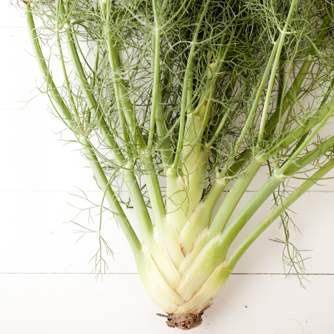 fennel