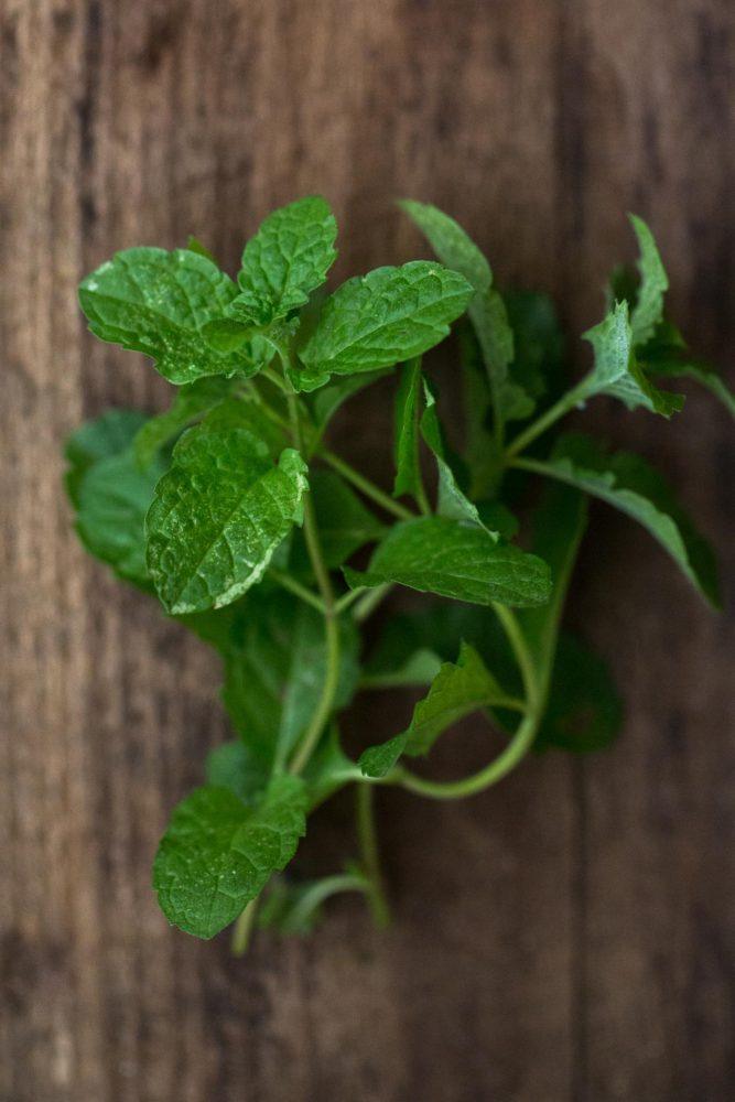 Mint - Herbs - Stock a Pantry