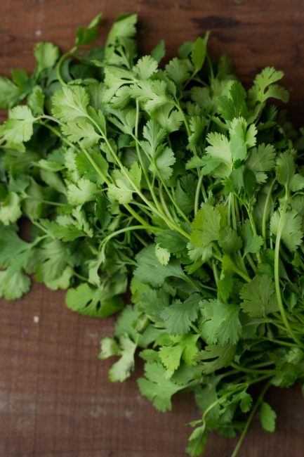 Cilantro - Herbs - Stock a Pantry