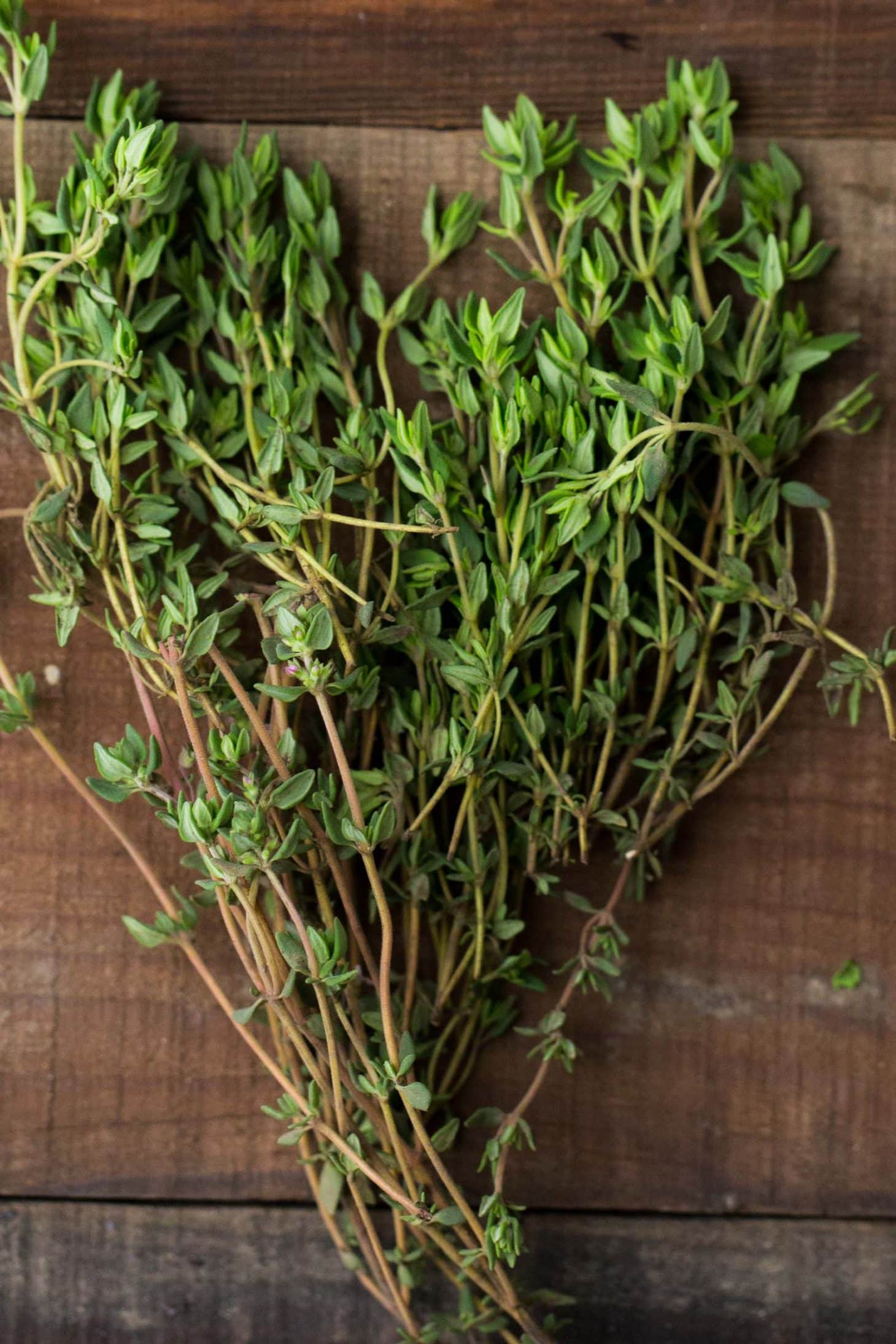 Thyme - Herbs - Stock a Pantry
