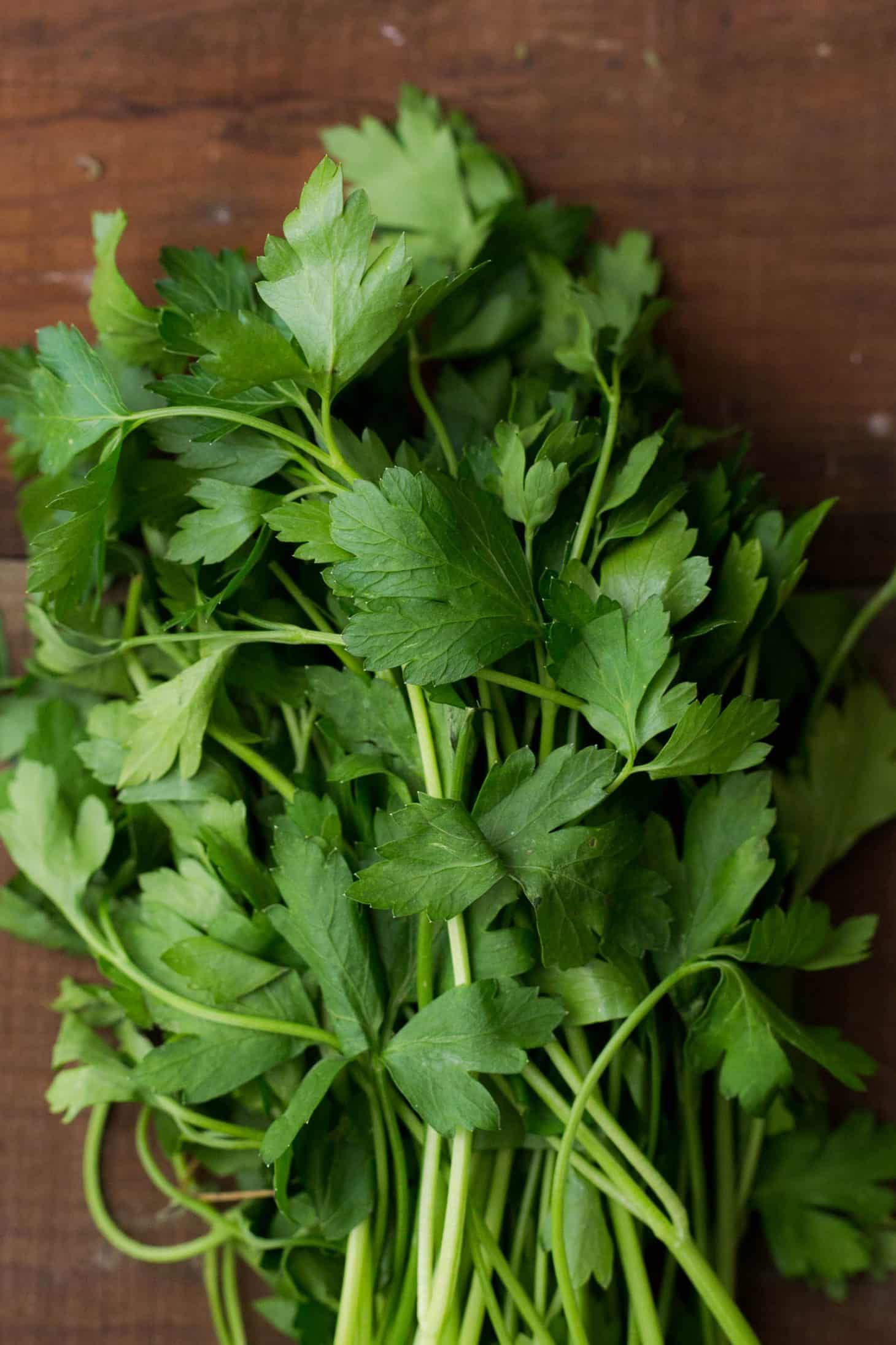 Parsley - Herbs - Stock a Pantry