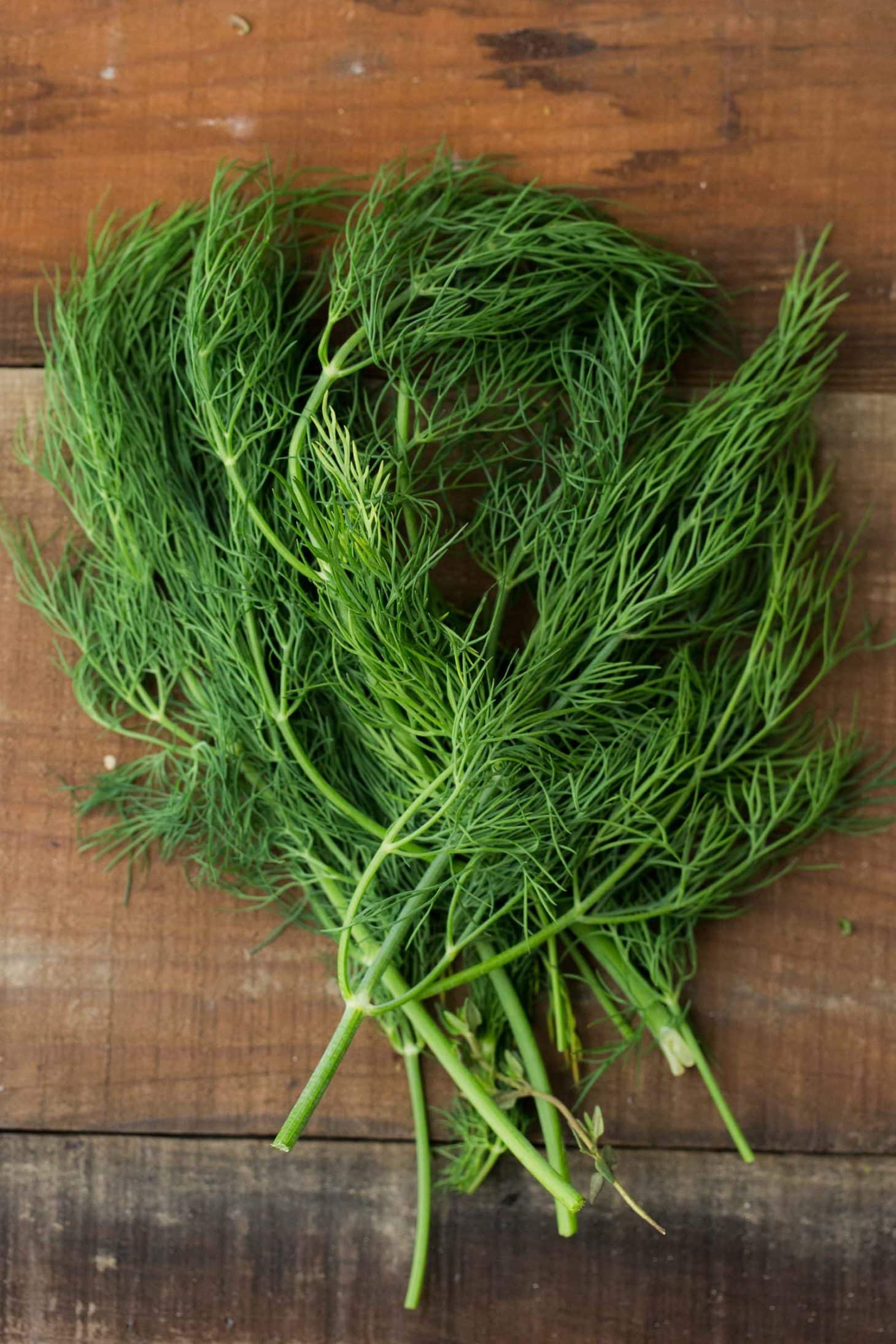 Dill - Herbs - Stock a Pantry