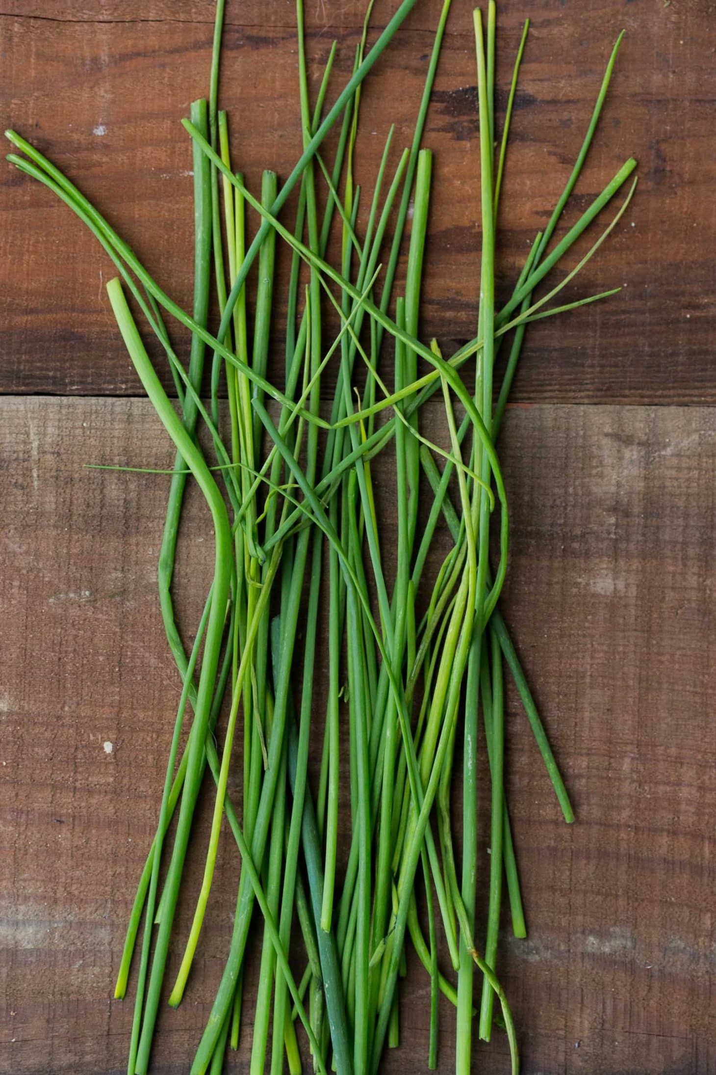 Chives - Herbs - Stock a Pantry