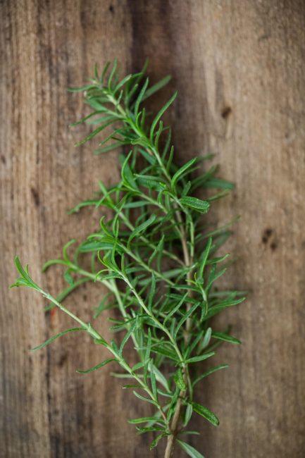 Rosemary | Stock a Pantry |