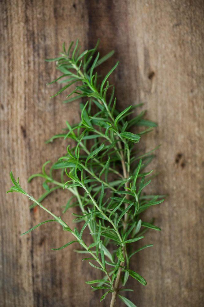 Rosemary - Herbs - Stock a Pantry
