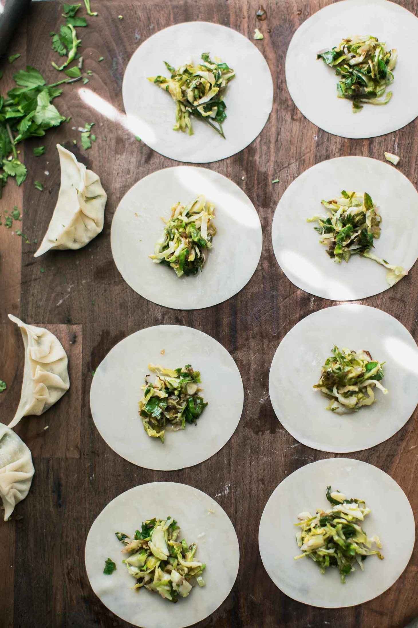 Shaved Brussels Sprouts Potstickers with Ginger | Naturally Ella