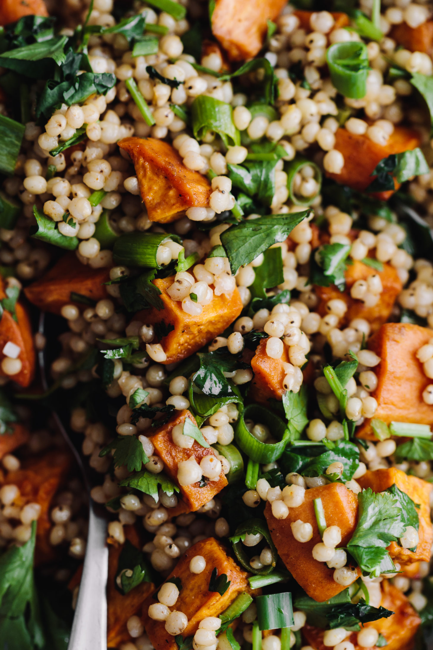 Roasted Chipotle Sweet Potato and Sorghum Salad