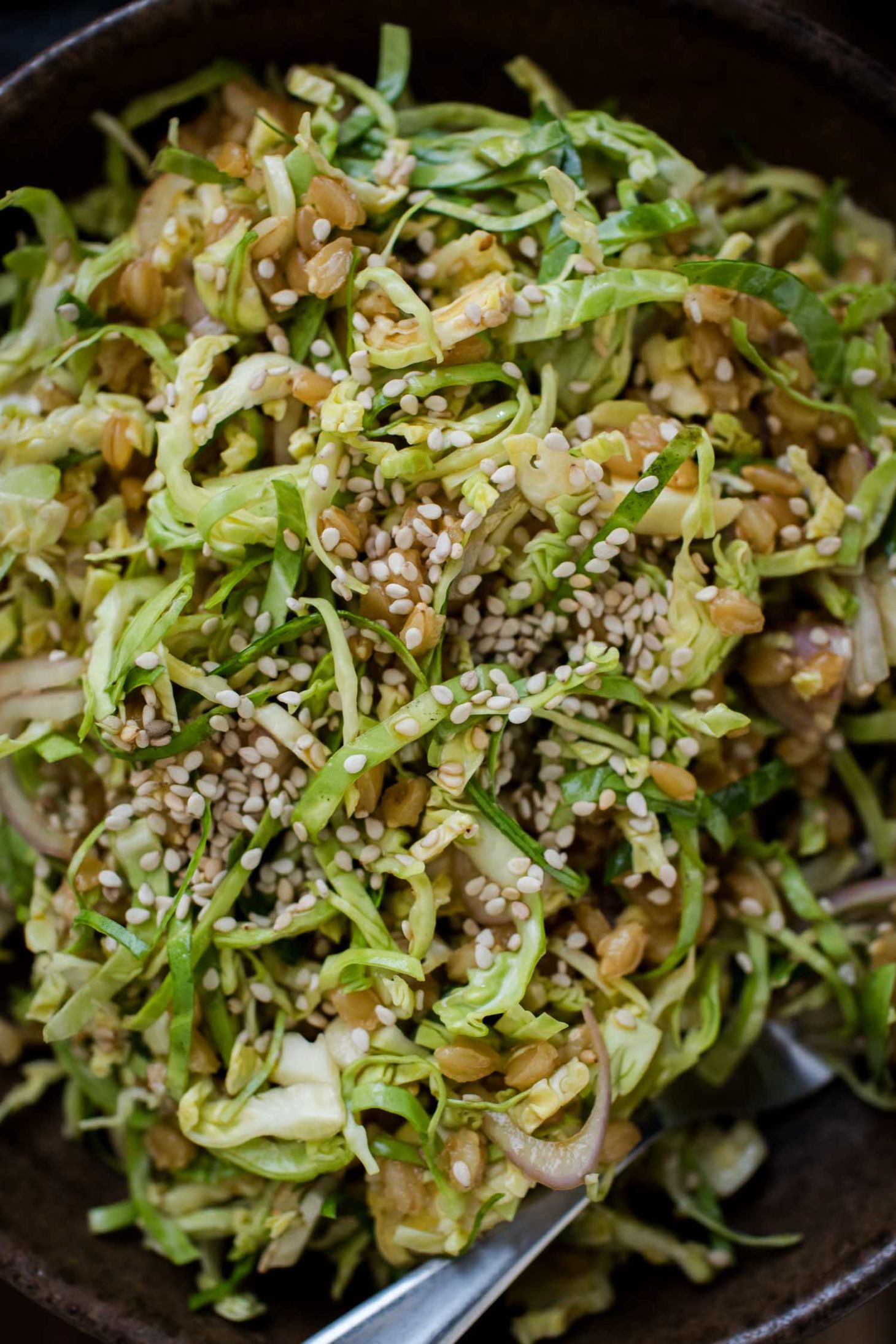 Shaved Brussels Sprout Salad with Einkorn and Soy-Mustard Dressing