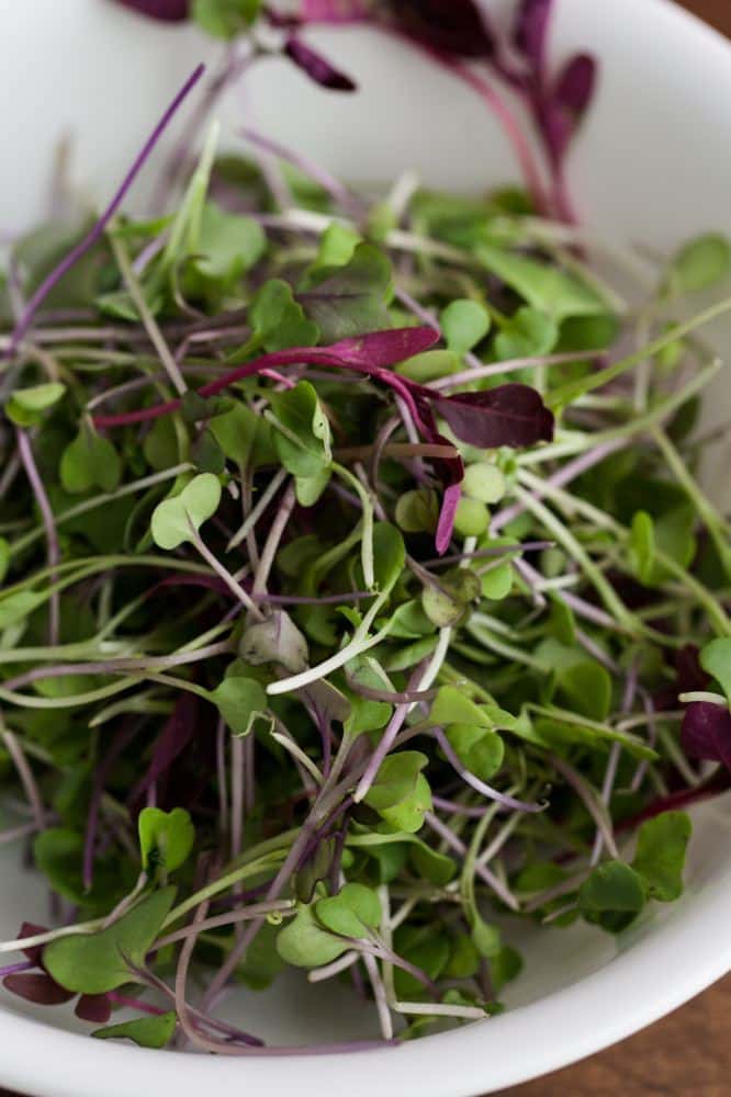 Mixed Microgreens