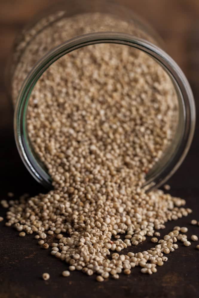 Sorghum Grain