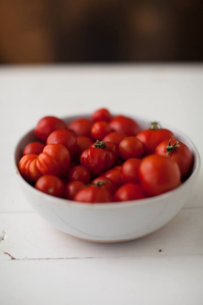 Egg, Roasted Tomato, and Pesto Biscuit Sandwich- tomatoes