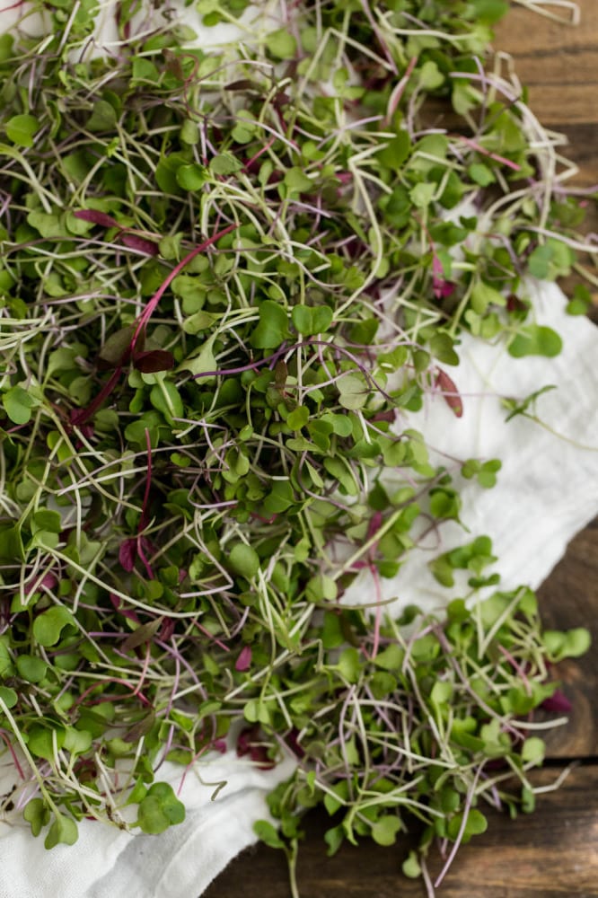 Mixed Sprouts