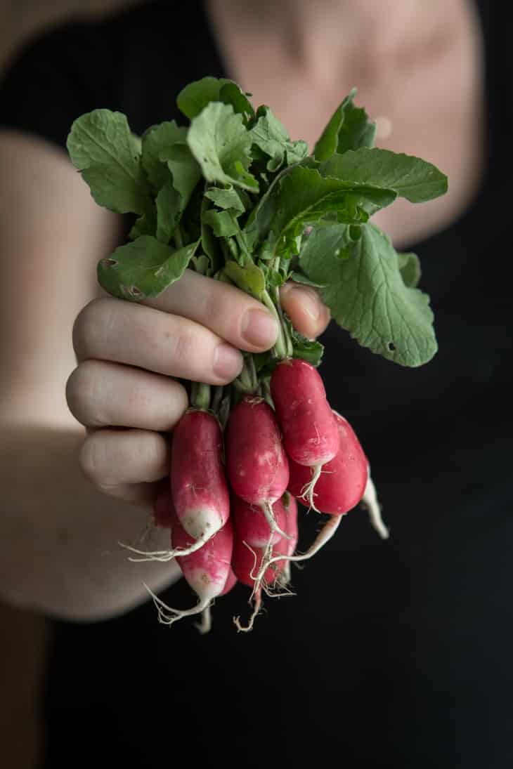 Breakfast Radishes | @naturallyella