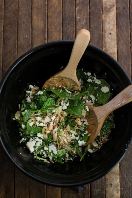 Grilled Fennel Salad with Spinach, White Beans, and Goat Cheese