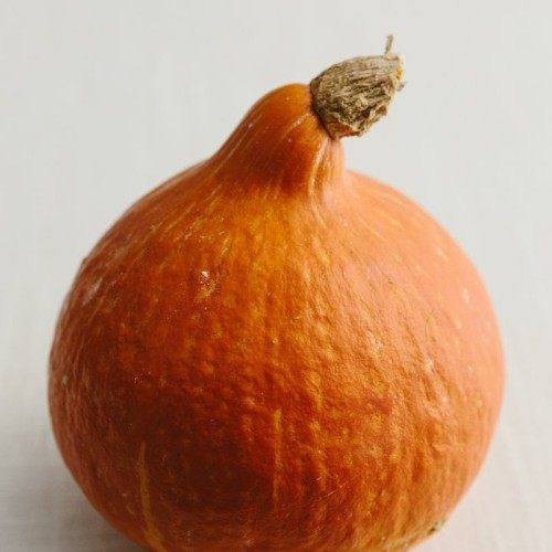 Roasted Kuri Squash