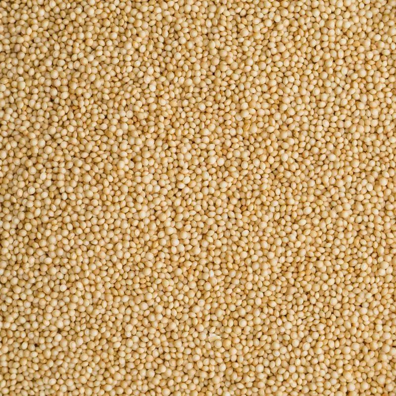 Amaranth | Grains | Naturally Ella