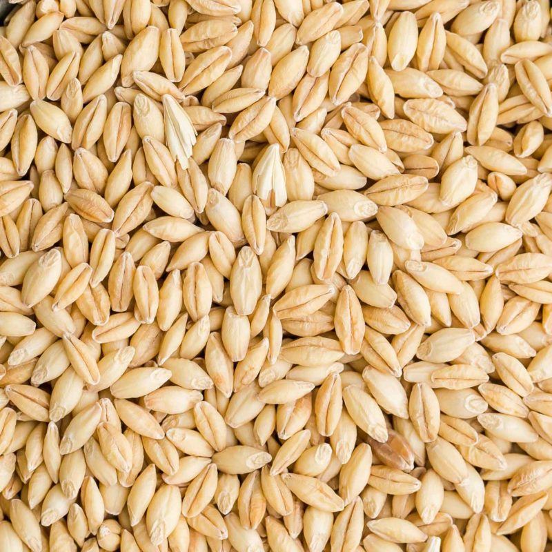 Barley | Grains | Stock a Pantry
