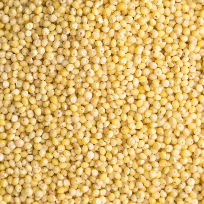 Millet | Grains | Stock a Pantry