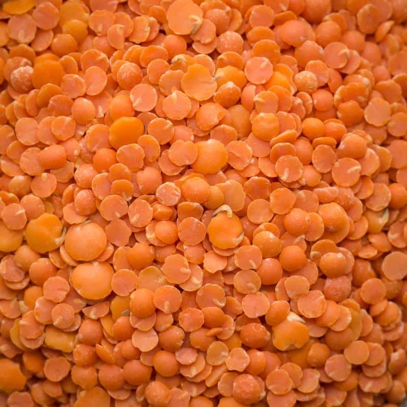 red_lentils