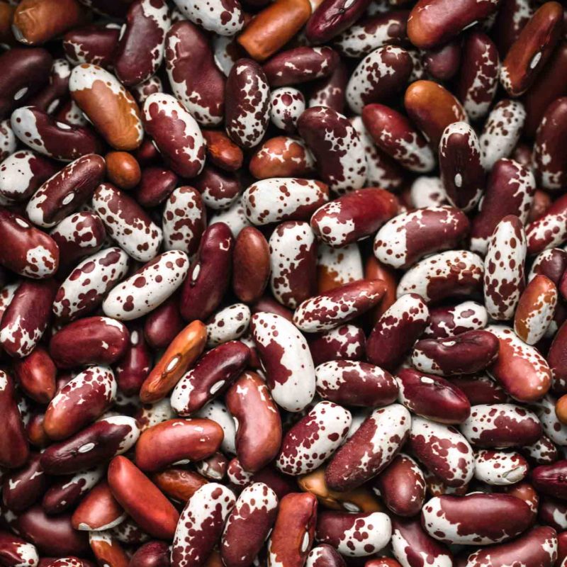 Jacob's Cattle Beans