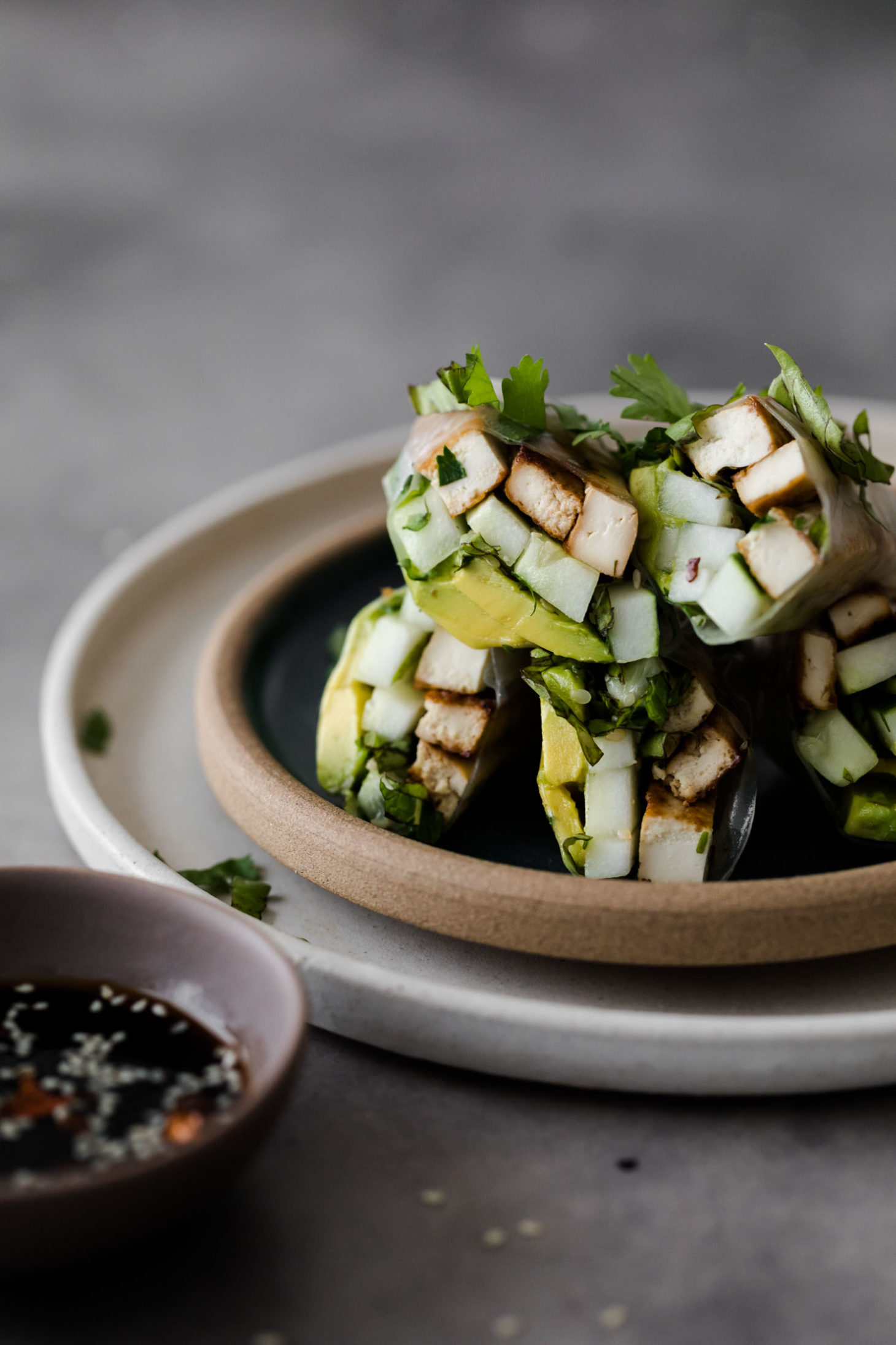 Cucumber Avocado Spring Rolls with Herbs