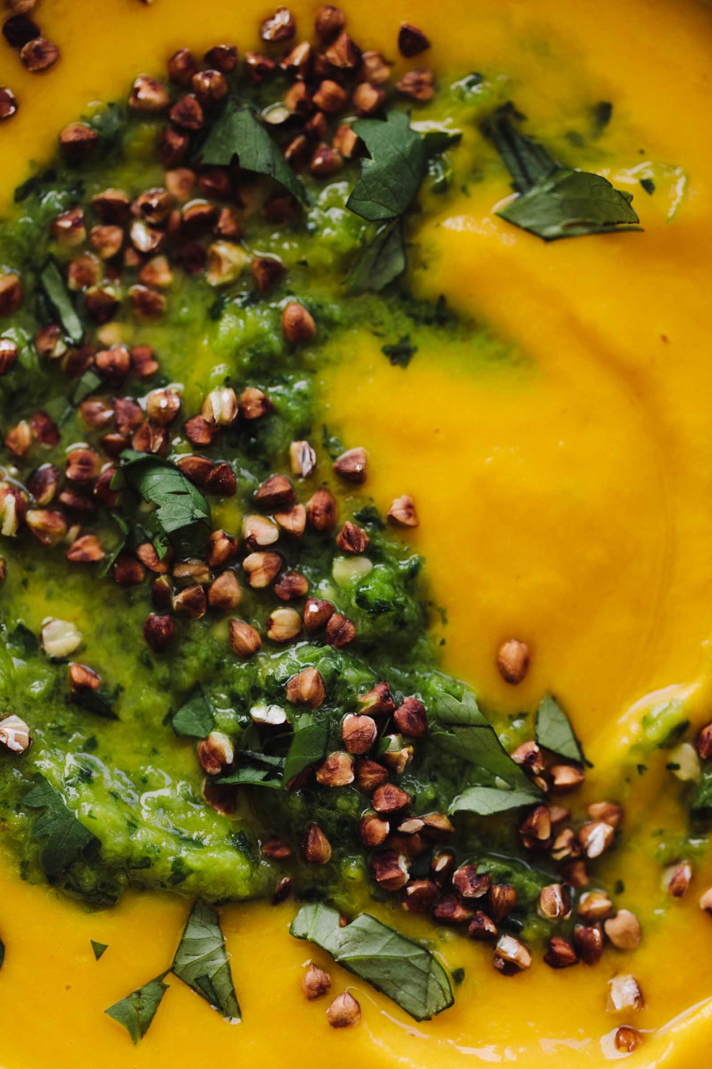 Spiced Butternut Squash Soup with Chimichurri