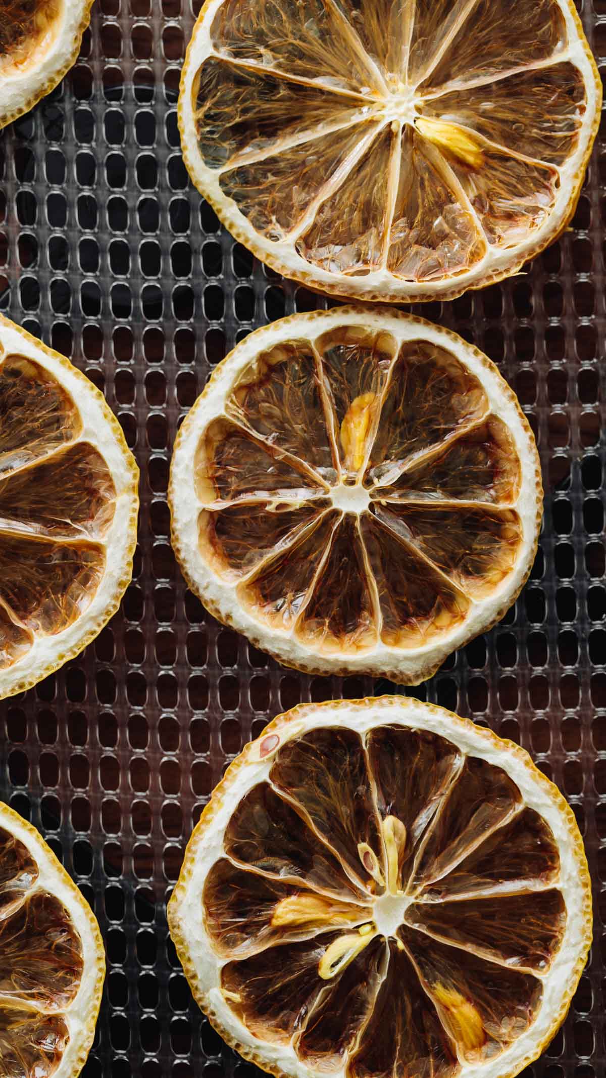 Close-up overhead shot of a lemon slice that has been dried.