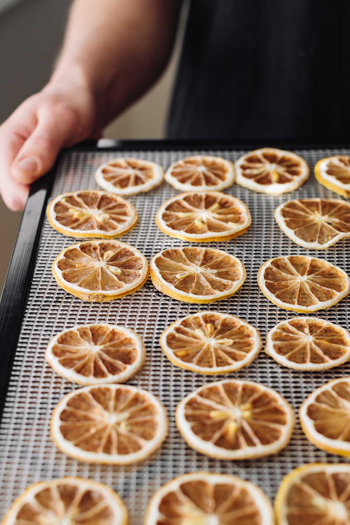 Side-angle photograph of a dozen dried lemon slices.