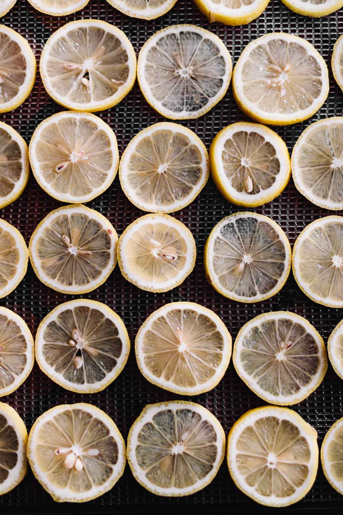 Overhead photo of sliced lemons, ready for drying.