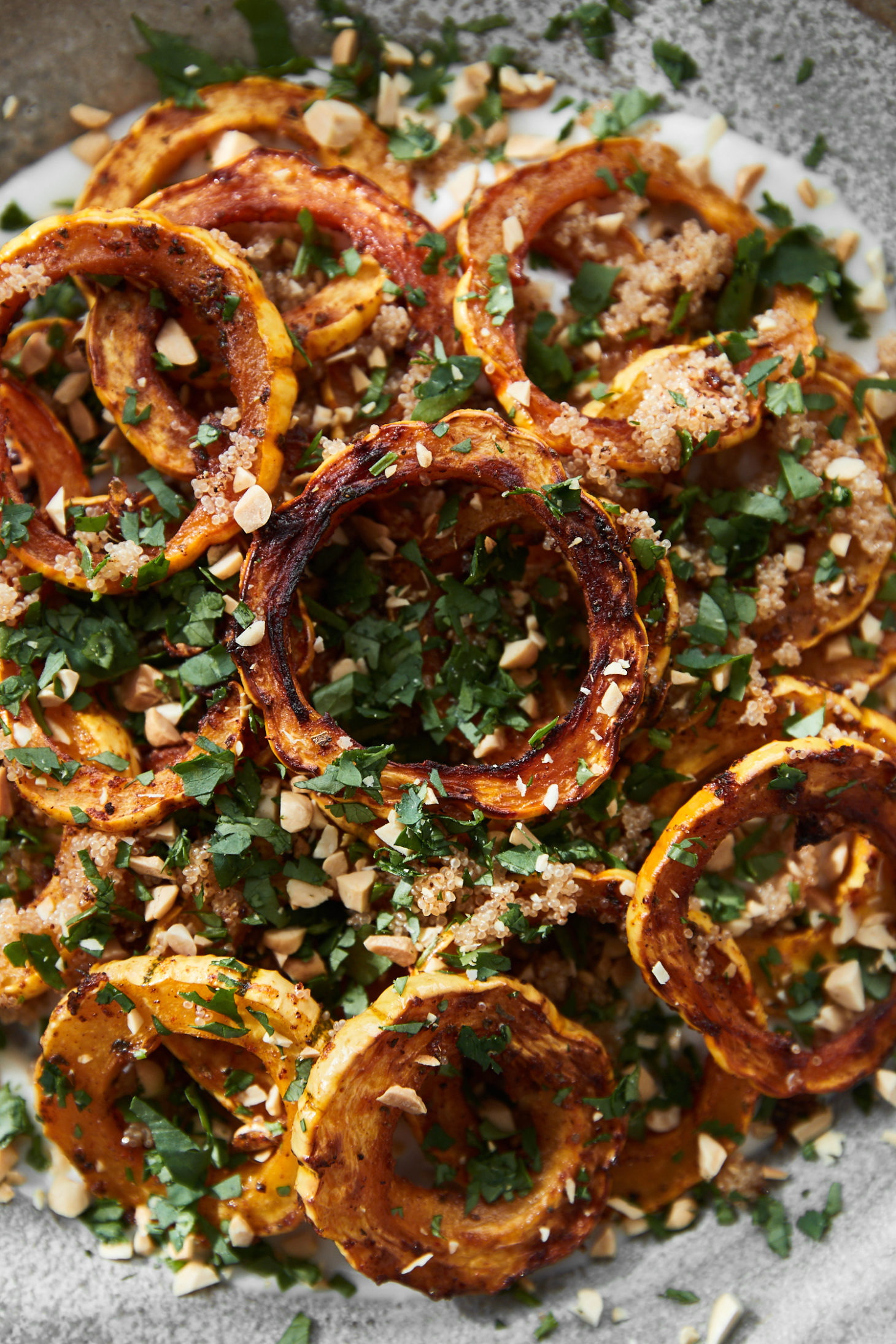 Close-up photograph of roasted delicata squash on top of yogurt sauce and topped with leaves of cilantro.