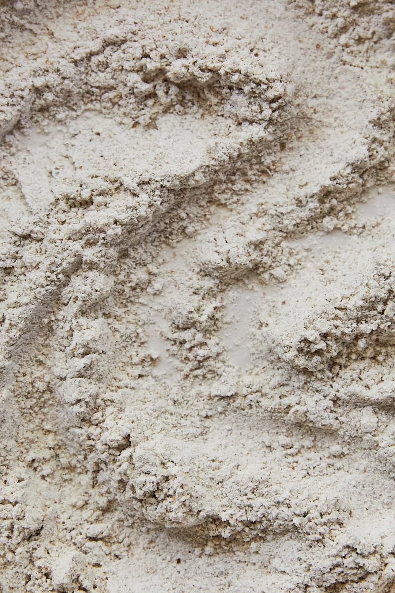 Milling Flour- a close up of rye flour that's been freshly milled