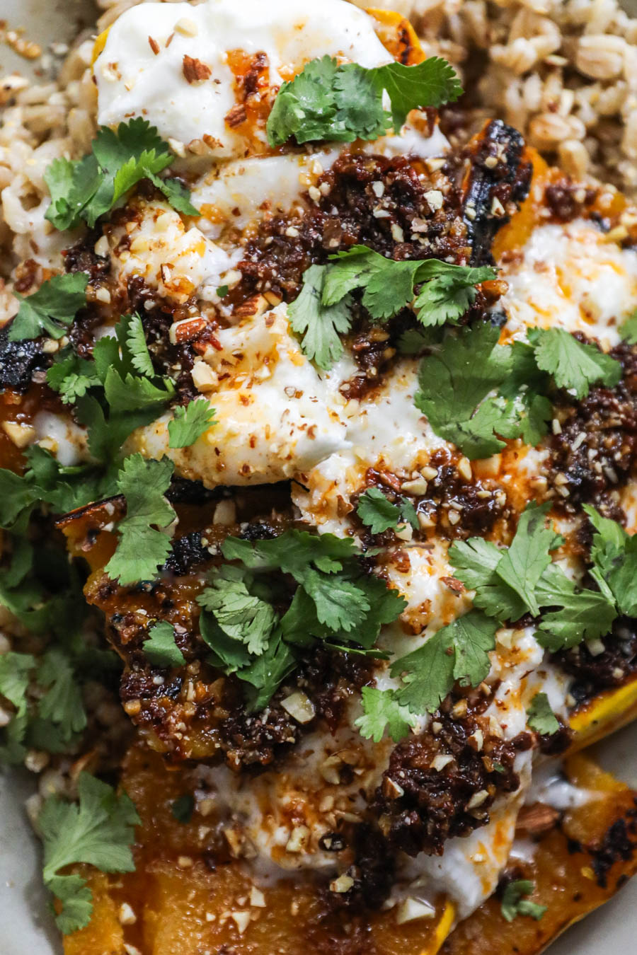 Roasted Delicata Squash with Chipotle Butter + Burrata